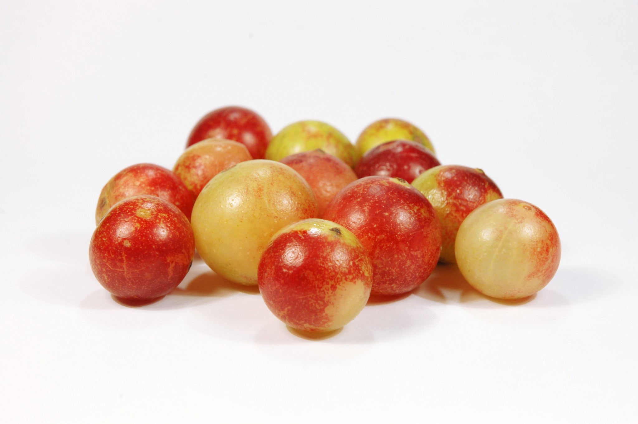 Collagen and Vitamin C - Gelpro Australia