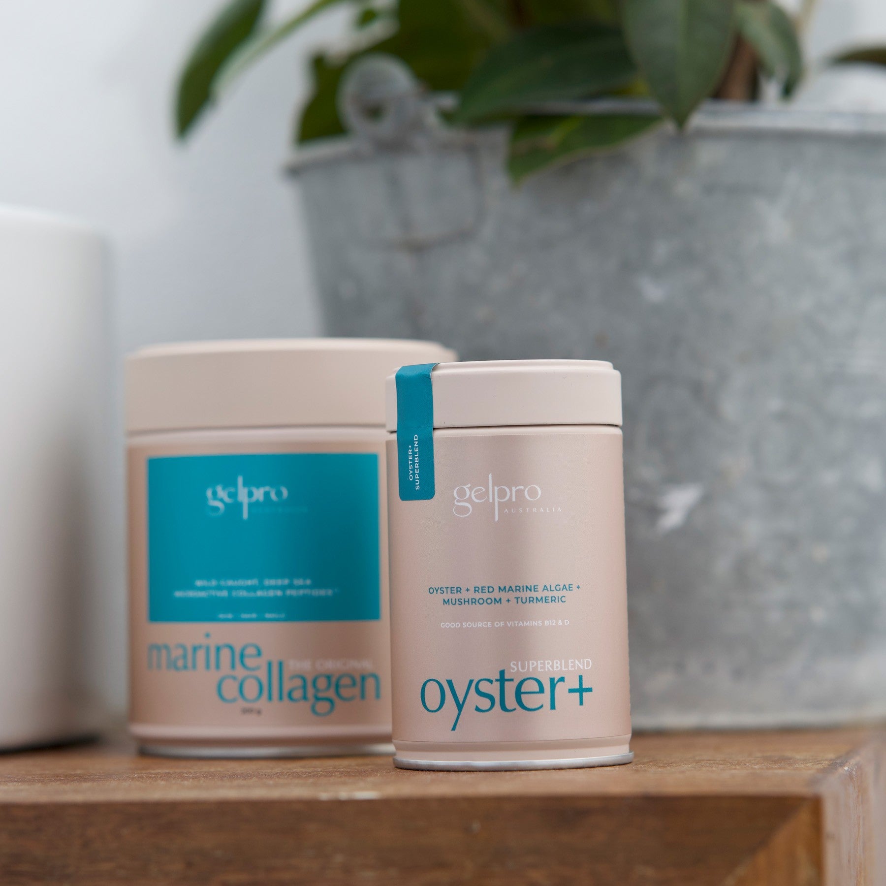 Oyster+ Superblend | 90 capsules - Gelpro Australia